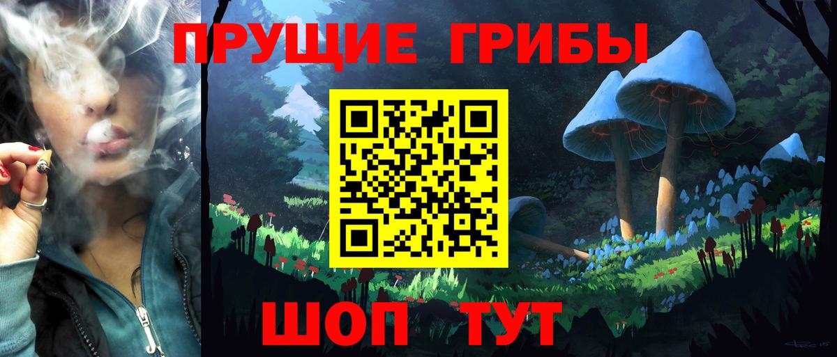 Псилоцибиновые грибы MAGIC MUSHROOMS Иркутск